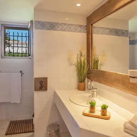 Location De Olivier Jardin Privatif Et Piscine Chauffee Partagee Calvi (Corsica)