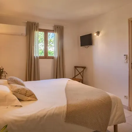 Location De Olivier Jardin Privatif Et Piscine Chauffee Partagee Calvi