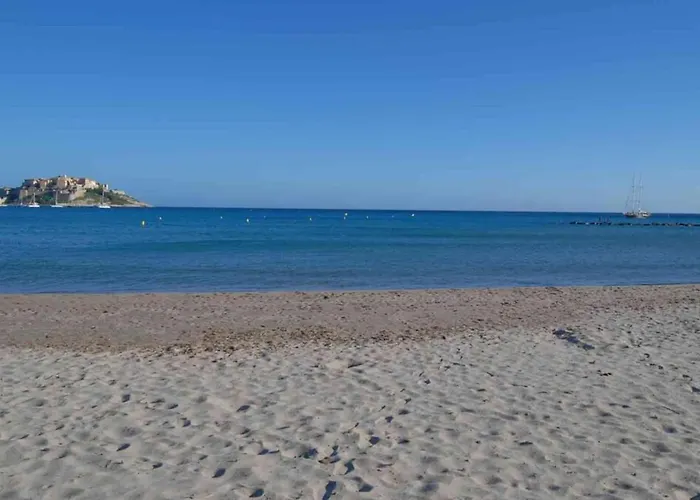 Location De Olivier Jardin Privatif Et Piscine Chauffee Partagee Calvi (Corsica)