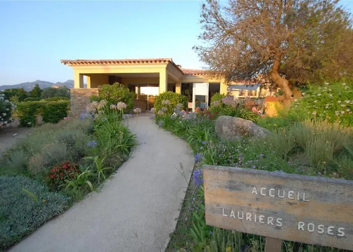 Location De Olivier Jardin Privatif Et Piscine Chauffee Partagee Calvi (Corsica)