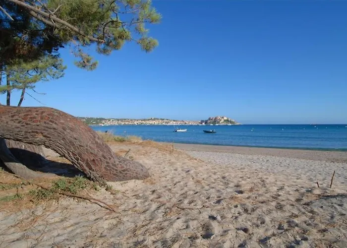 Location De Olivier Jardin Privatif Et Piscine Chauffee Partagee * Calvi (Corsica)